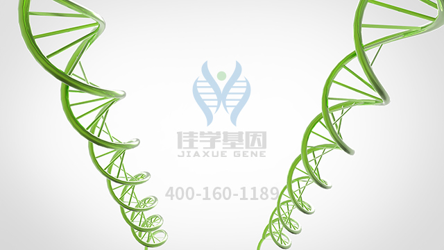 【佳學(xué)基因檢測(cè)】什么人要做聯(lián)合性垂體激素缺乏癥1型基因解碼、<a href=http://m.njxld.com/tk/jiema/cexujishu/2021/31933.html>基因檢測(cè)</a>？