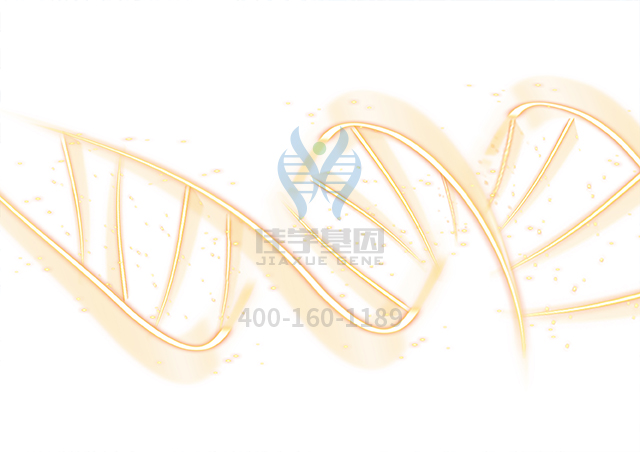 【佳學(xué)基因檢測(cè)】非特異性大皰性表皮松解癥常染色體隱性基因解碼、<a href=http://m.njxld.com/tk/jiema/cexujishu/2021/31933.html>基因檢測(cè)</a>怎么預(yù)約解讀？