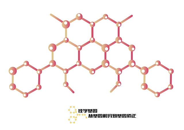 【佳學(xué)基因檢測】胃腫瘤基因解碼、<a href=http://m.njxld.com/tk/jiema/cexujishu/2021/31933.html>基因檢測</a>的樣品有區(qū)別嗎？