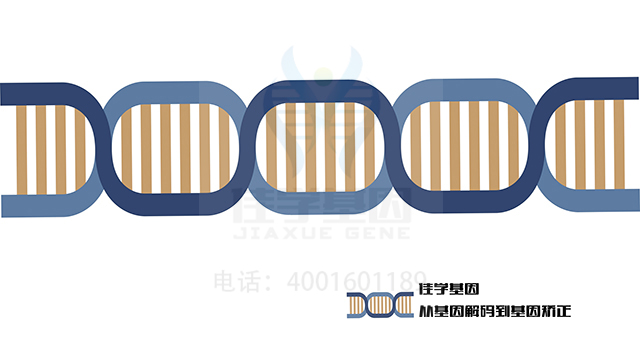 【佳學(xué)基因檢測(cè)】肢帶肌營(yíng)養(yǎng)不良基因解碼、<a href=http://m.njxld.com/tk/jiema/cexujishu/2021/31933.html>基因檢測(cè)</a>的樣品有區(qū)別嗎？
