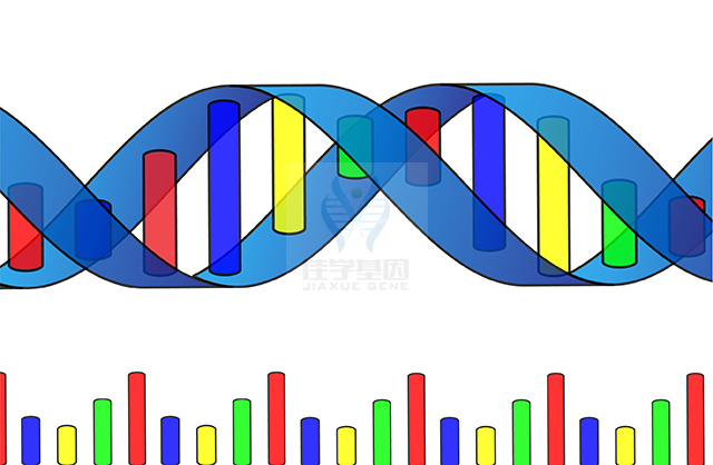 【佳學基因檢測】CHILD綜合征基因解碼、<a  data-cke-saved-href=http://m.njxld.com/tk/jiema/cexujishu/2021/31933.html href=http://m.njxld.com/tk/jiema/cexujishu/2021/31933.html>基因檢測</a>有什么用？