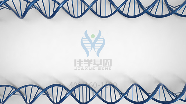 【佳學(xué)基因檢測】做耳聾常染色體隱性104型基因解碼、<a href=http://m.njxld.com/tk/jiema/cexujishu/2021/31933.html>基因檢測</a>的費(fèi)用是多少？