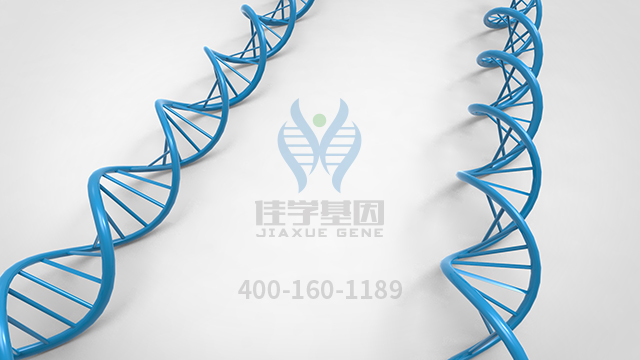 <b>【佳學基因檢測】原發(fā)性限局性皮膚淀粉樣變1型基因解碼、基因檢測報告時間</b>