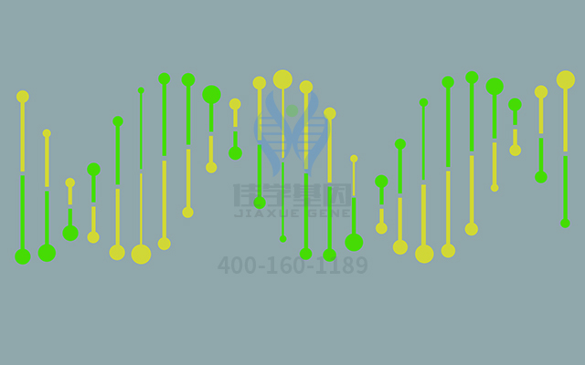 【佳學(xué)基因檢測】如何區(qū)分腎上腺功能不全先天性46XY（部分或有效）性逆轉(zhuǎn)基因解碼、<a href=http://m.njxld.com/tk/jiema/cexujishu/2021/31933.html>基因檢測</a>？