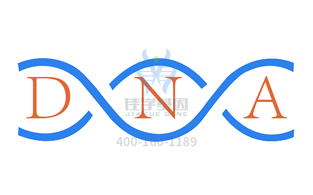 【佳學(xué)基因檢測】做FRASER綜合征2型基因解碼、<a href=http://m.njxld.com/tk/jiema/cexujishu/2021/31933.html>基因檢測</a>需要多長時間？