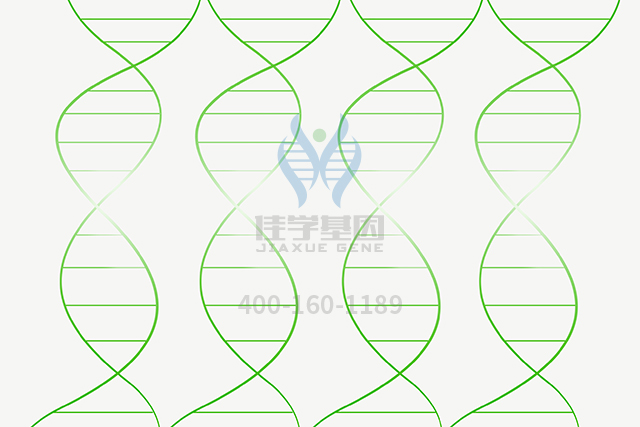 【佳學(xué)基因檢測】如何做鼻咽癌基因解碼、<a href=http://m.njxld.com/tk/jiema/cexujishu/2021/31933.html>基因檢測</a>？