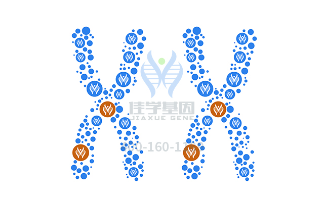 【佳學(xué)基因檢測(cè)】如何做<font color='red'><font color='red'>乳糖</font><font color='red'>不耐</font>癥</font>基因解碼、基因檢測(cè)？