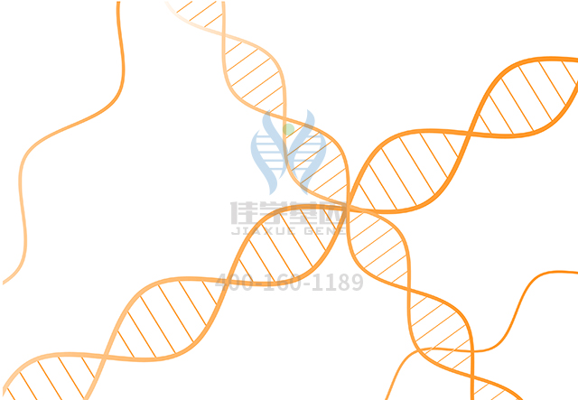 【佳學基因檢測】做BirkBa??rel智力障礙性畸形綜合征基因解碼、<a href=http://m.njxld.com/tk/jiema/cexujishu/2021/31933.html>基因檢測</a>采用什么樣品？