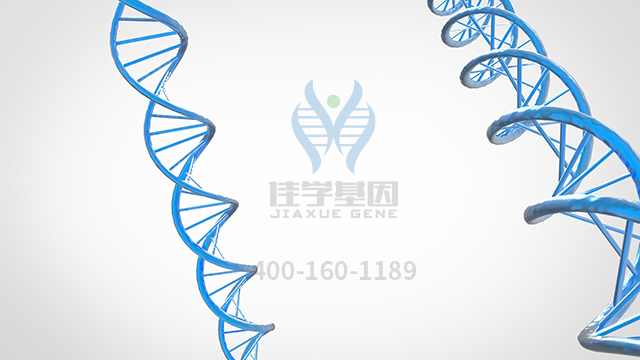 【佳學(xué)基因檢測】<font color='red'><font color='red'>乳糜</font><font color='red'>微粒</font><font color='red'>潴留</font></font>病基因解碼、基因檢測可以只做基因檢測嗎？