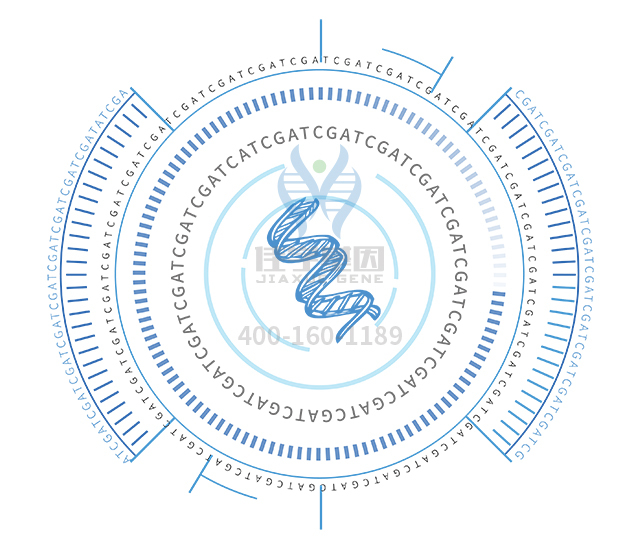 【佳學(xué)基因檢測】如何區(qū)分麥克爾綜合征（<font color='red'>Meckel</font>綜合征）13型基因解碼、基因檢測？