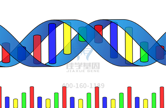 【佳學(xué)基因檢測】什么人要做梅克爾綜合征2型基因解碼、<a href=http://m.njxld.com/tk/jiema/cexujishu/2021/31933.html>基因檢測</a>？
