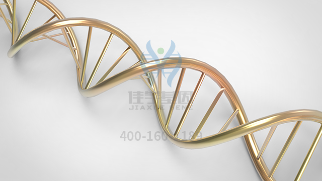 【佳學基因檢測】做孔源性視網(wǎng)膜脫離常染色體顯性基因解碼、<a href=http://m.njxld.com/tk/jiema/cexujishu/2021/31933.html>基因檢測</a>的費用是多少？