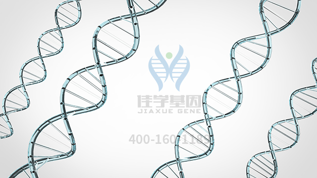 【佳學(xué)基因檢測】做丙型球蛋白血癥非布魯頓型基因解碼、<a  data-cke-saved-href=http://m.njxld.com/tk/jiema/cexujishu/2021/31933.html href=http://m.njxld.com/tk/jiema/cexujishu/2021/31933.html>基因檢測</a>采用什么樣品？