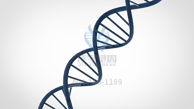 【佳學(xué)基因檢測】怎么做皮膚松弛癥基因解碼、<a href=http://m.njxld.com/tk/jiema/cexujishu/2021/31933.html>基因檢測</a>?