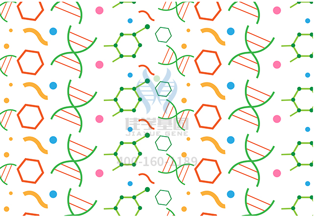 【佳學基因檢測】什么人要做<font color='red'>Li</font>-<font color='red'><font color='red'>Fraumeni</font></font>樣綜合征基因解碼、基因檢測？