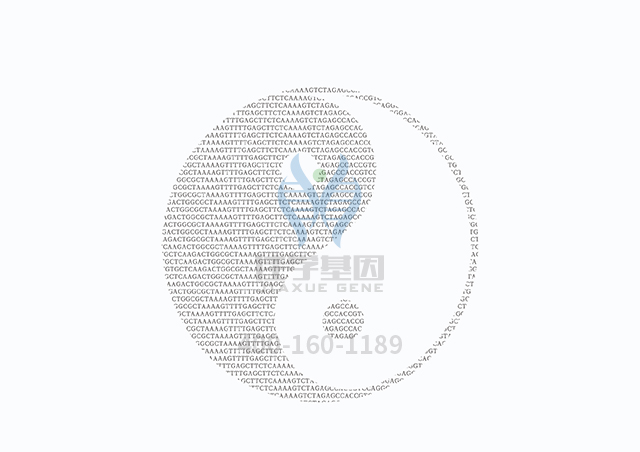 【佳學基因檢測】做網(wǎng)狀色素皮病基因解碼、<a  data-cke-saved-href=http://m.njxld.com/tk/jiema/cexujishu/2021/31933.html href=http://m.njxld.com/tk/jiema/cexujishu/2021/31933.html>基因檢測</a>需要多長時間？
