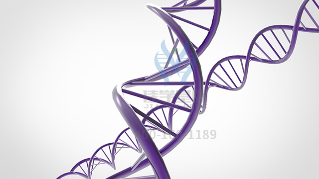 【佳學基因檢測】做腦畸形和尿路缺陷基因解碼、<a href=http://m.njxld.com/tk/jiema/cexujishu/2021/31933.html>基因檢測</a>需要到總部嗎？