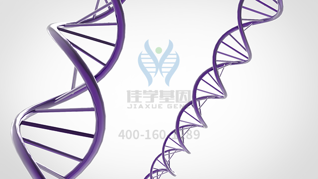 【佳學基因檢測】怎么做Nicolaides-Baraitser綜合征基因解碼、<a href=http://m.njxld.com/tk/jiema/cexujishu/2021/31933.html>基因檢測</a>?
