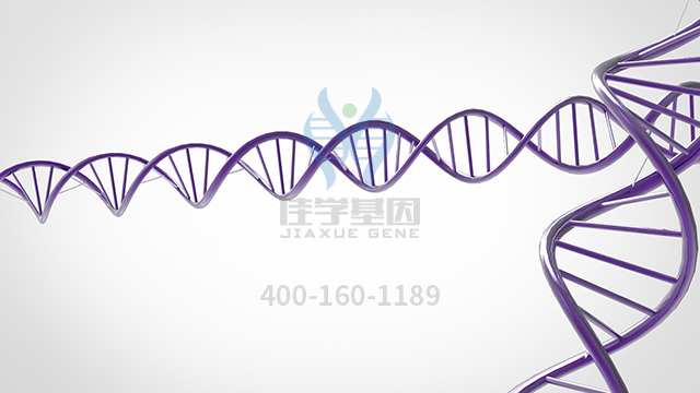 【佳學(xué)基因檢測】如何做生精障礙11型基因解碼、<a href=http://m.njxld.com/tk/jiema/cexujishu/2021/31933.html>基因檢測</a>？