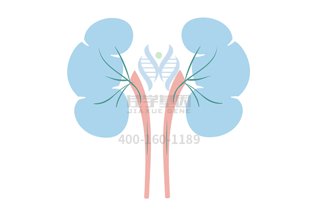 【佳學(xué)基因檢測(cè)】做酒精依賴基因解碼、<a href=http://m.njxld.com/tk/jiema/cexujishu/2021/31933.html>基因檢測(cè)</a>需要多長(zhǎng)時(shí)間？