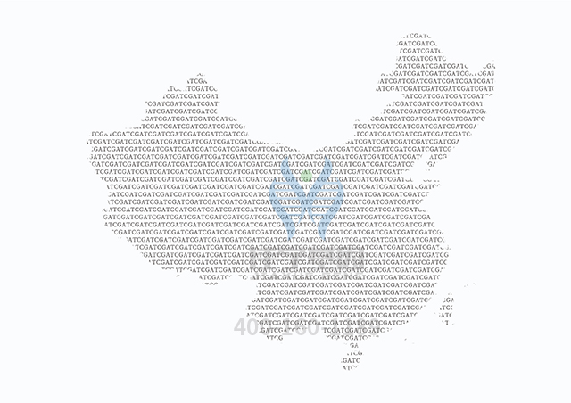 【佳學(xué)基因檢測(cè)】SDHB相關(guān)疾病基因解碼、<a href=http://m.njxld.com/tk/jiema/cexujishu/2021/31933.html>基因檢測(cè)</a>可以只做基因解碼嗎？