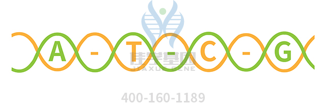 【佳學(xué)基因檢測(cè)】<font color='red'>VHL</font>綜合征（林島綜合征)基因解碼、基因檢測(cè)