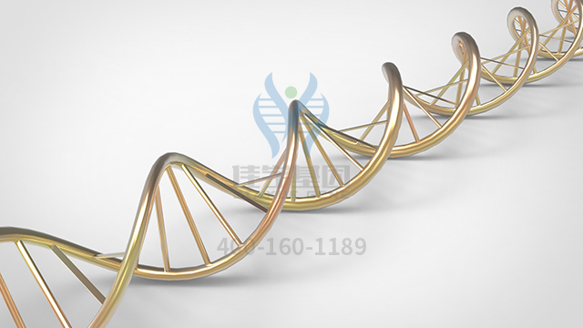 【佳學基因檢測】做先天性短腸綜合征X連鎖基因解碼、<a href=http://m.njxld.com/tk/jiema/cexujishu/2021/31933.html>基因檢測</a>的費用是多少？