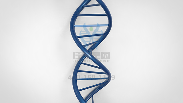 【佳學(xué)基因檢測】做尼古丁敏感性-功效基因解碼、<a href=http://m.njxld.com/tk/jiema/cexujishu/2021/31933.html>基因檢測</a>方便嗎？
