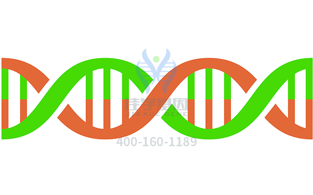 【佳學(xué)基因檢測】做尼古丁敏感性-毒性/ADR代謝/PK基因解碼、<a href=http://m.njxld.com/tk/jiema/cexujishu/2021/31933.html>基因檢測</a>的費(fèi)用是多少？