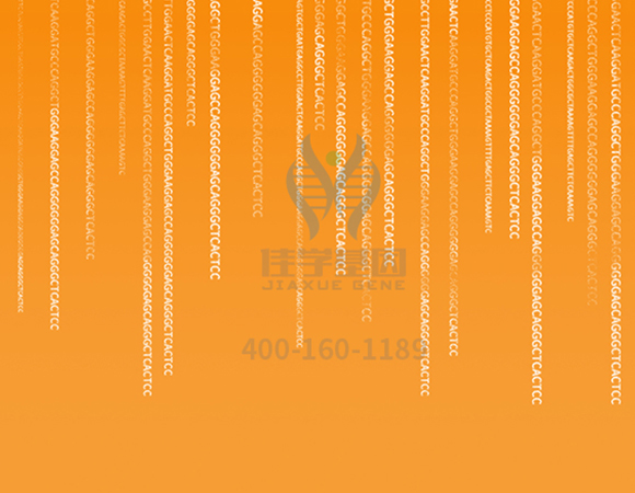 【佳學(xué)基因解碼-<a href=http://m.njxld.com/tk/jiema/cexujishu/2021/31933.html>基因檢測(cè)</a>】這些舉動(dòng)竟讓<font color='red'>脫發(fā)</font>的女孩們重拾自信！