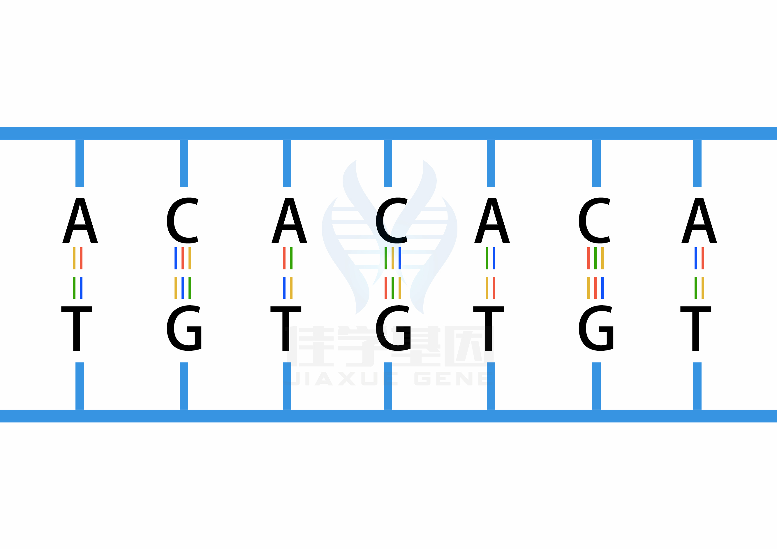 【佳學(xué)基因檢測(cè)】什么人要做性腺機(jī)能減退糖尿病<font color='red'>脫發(fā)</font>智力低下和心電圖異常基因解碼、<a href=http://m.njxld.com/tk/jiema/cexujishu/2021/31933.html>基因檢測(cè)</a>？