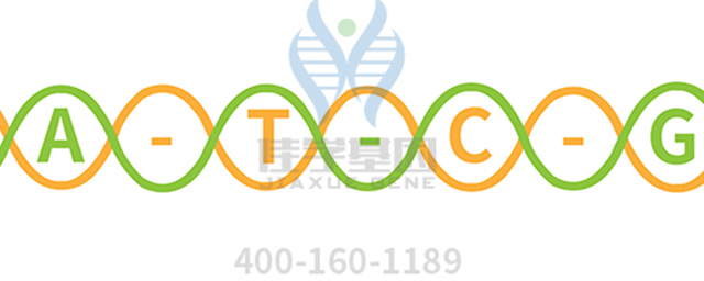 【佳學(xué)基因檢測(cè)】根本病（Nemoto disease)基因解碼、<a href=http://m.njxld.com/tk/jiema/cexujishu/2021/31933.html>基因檢測(cè)</a>