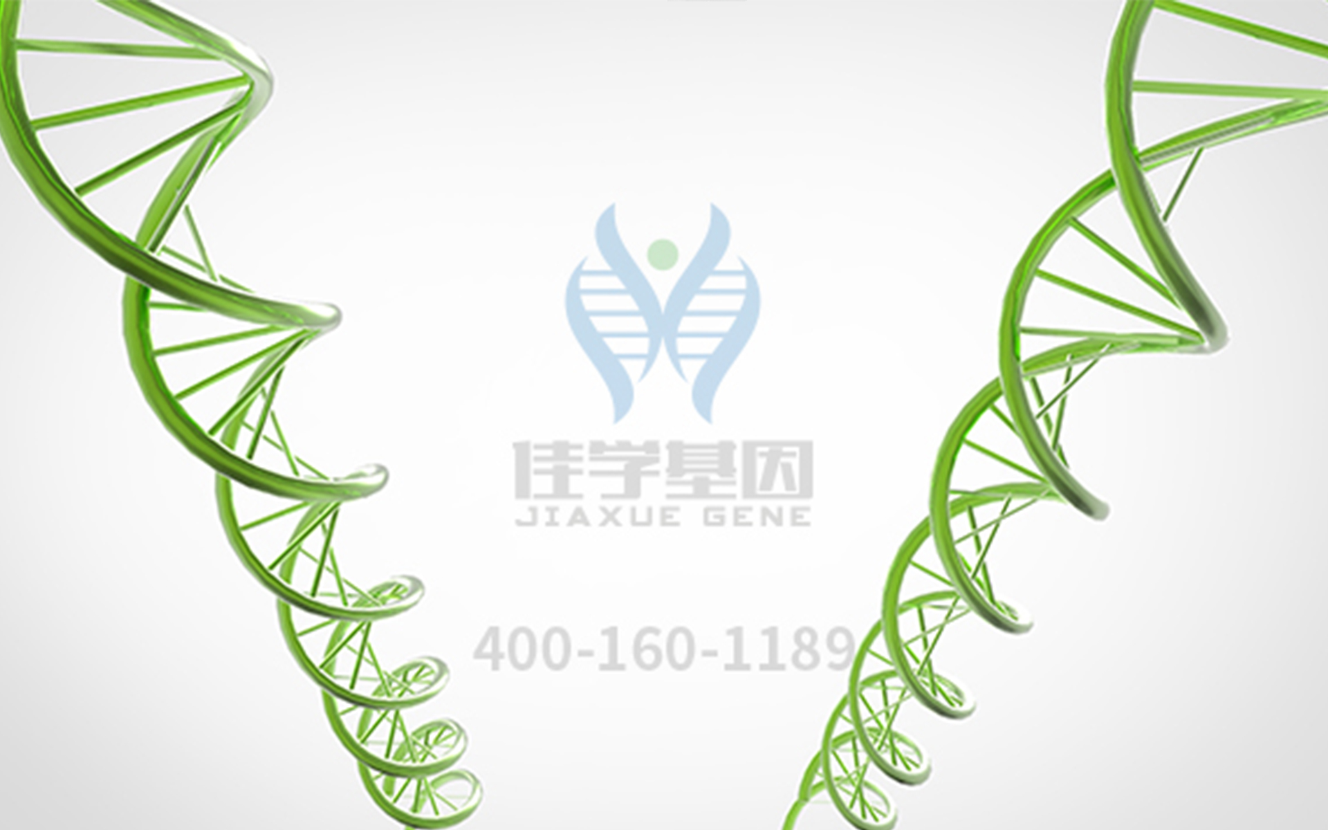 【佳學基因檢測】眼科遺傳病基因解碼<a href=http://m.njxld.com/tk/jiema/cexujishu/2021/31933.html>基因檢測</a>-<font color='red'>無<font color='red'>虹膜</font></font>癥和Gillespie綜合征