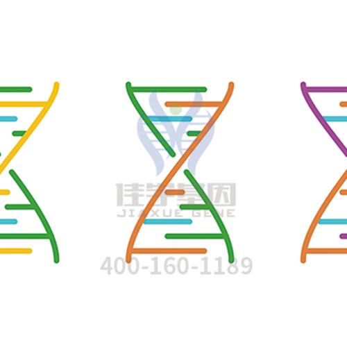 【眼科遺傳病】<font color='red'>BEST</font>病基因解碼、<a href=http://m.njxld.com/tk/jiema/cexujishu/2021/31933.html>基因檢測(cè)</a>