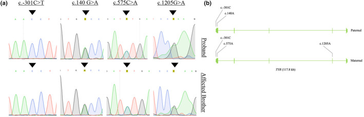 FIGURE 2