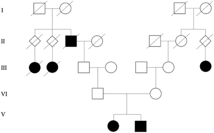 FIGURE 1