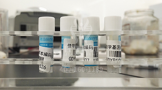 分子病理檢測包沒有包含EIF2D基因怎么辦？